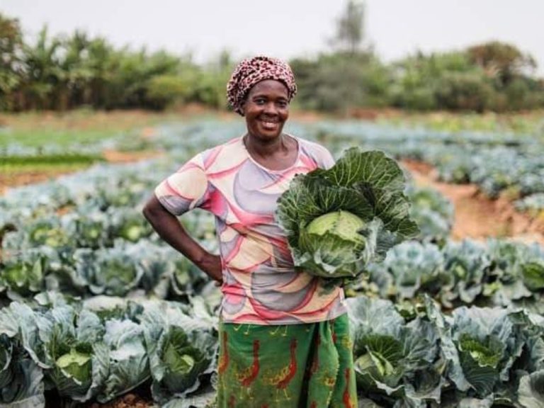 Silent killers on your plate: The alarming rise of pesticide-related Illnesses