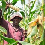 The effects of Climate Change on Food Security and Food Safety
