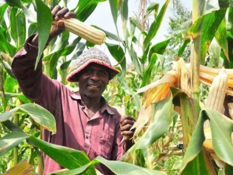 Empowering Farmers in the Transition to Net Zero