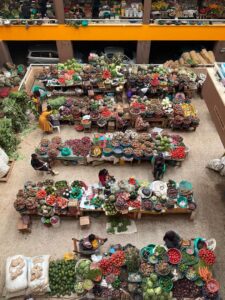 Western Uganda Food Alliance to Universal Periodic Review (UPR)