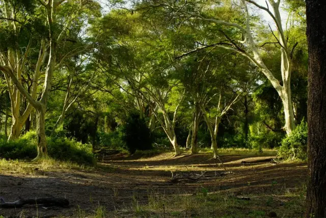 Wildlife Conservation programme in Uganda